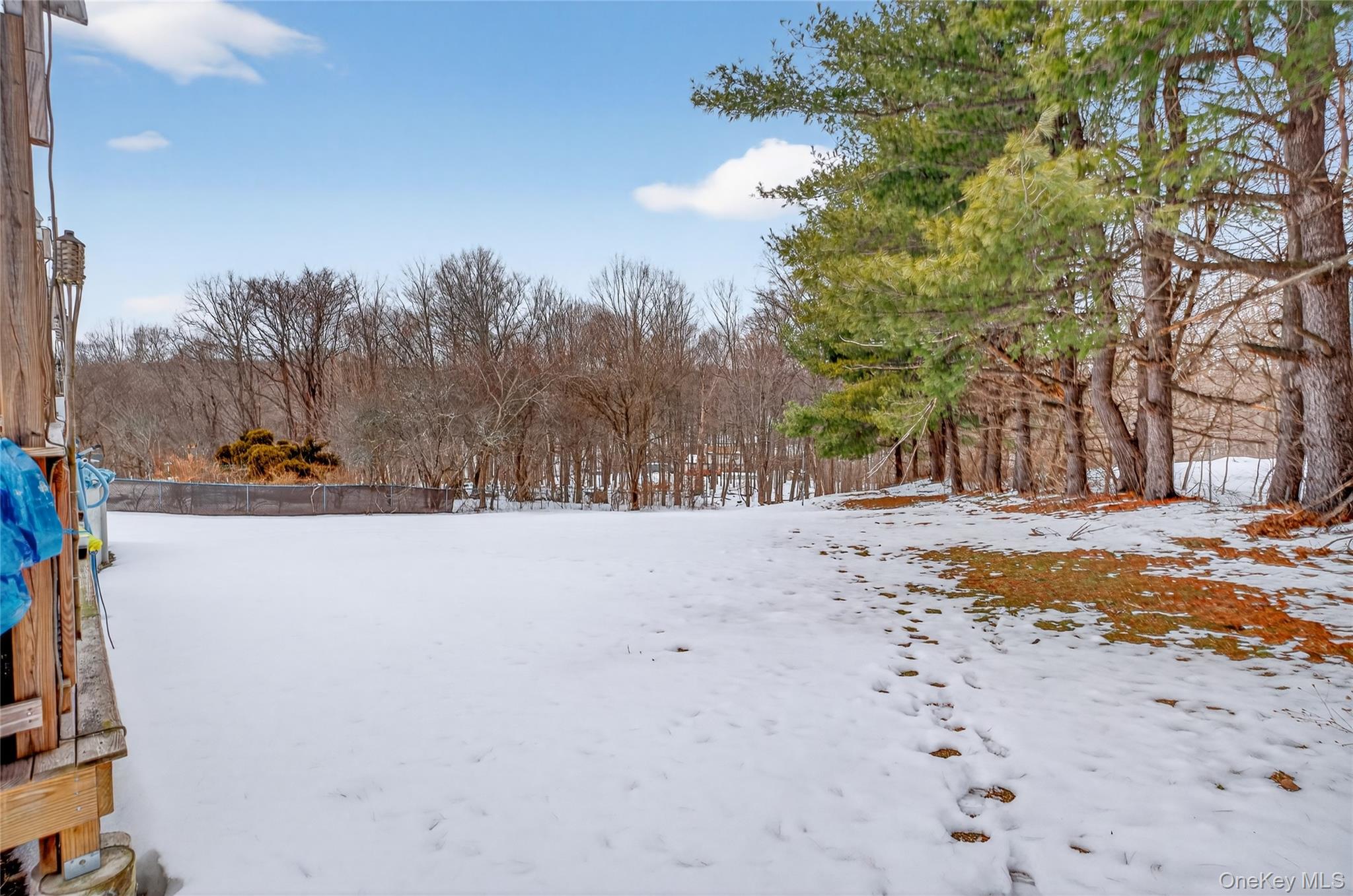 100 Watch Hill Drive Fishkill, NY 12524 - Photo 41 of 49 View of yard layered in snow