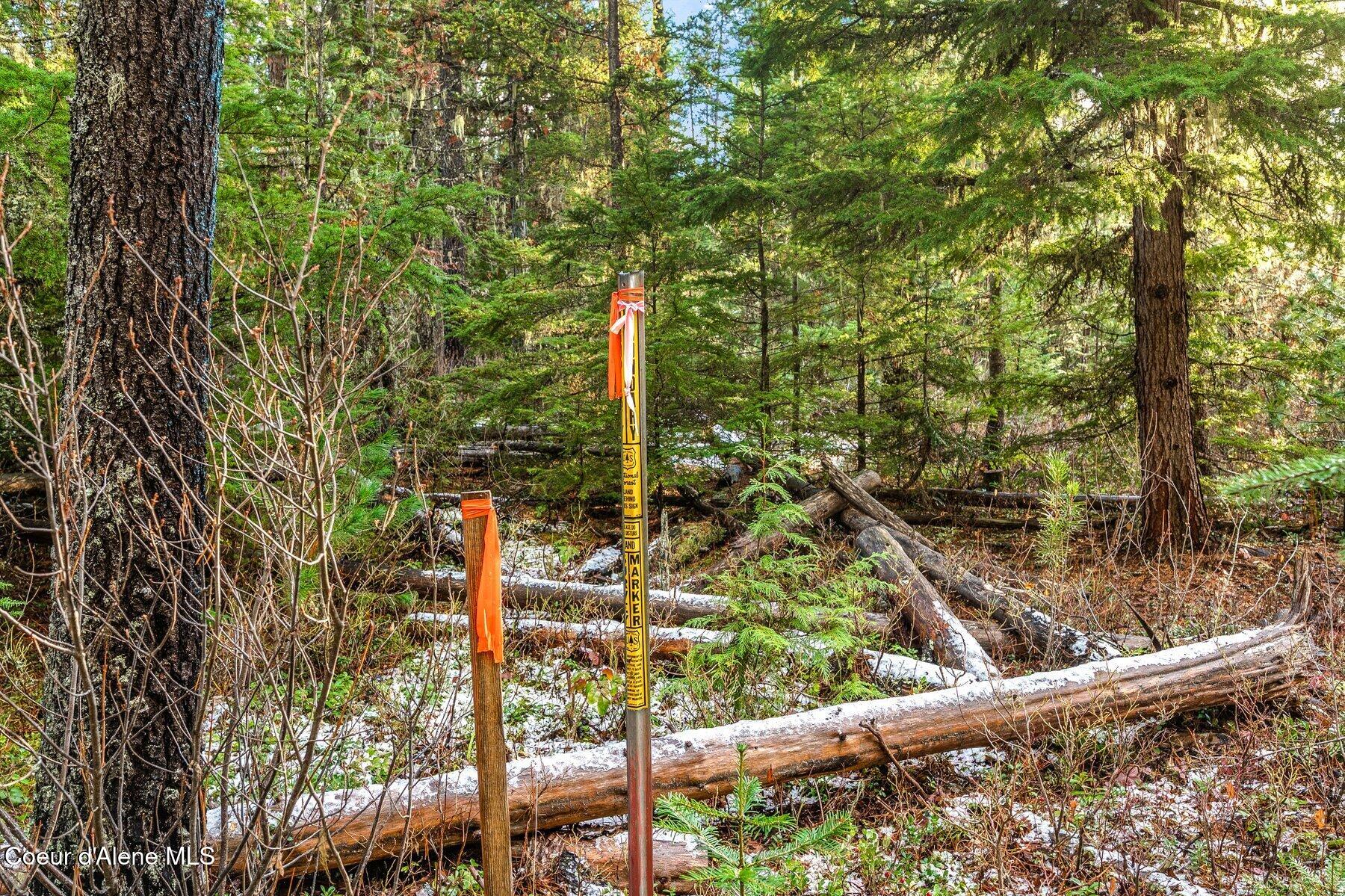 Lot 3 Reeder Bay Road Nordman, ID 83848 - Photo 11 of 21 Corner Survey Markers