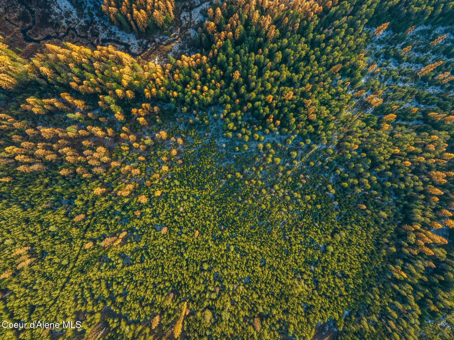 Lot 3 Reeder Bay Road Nordman, ID 83848 - Photo 14 of 21 Overview