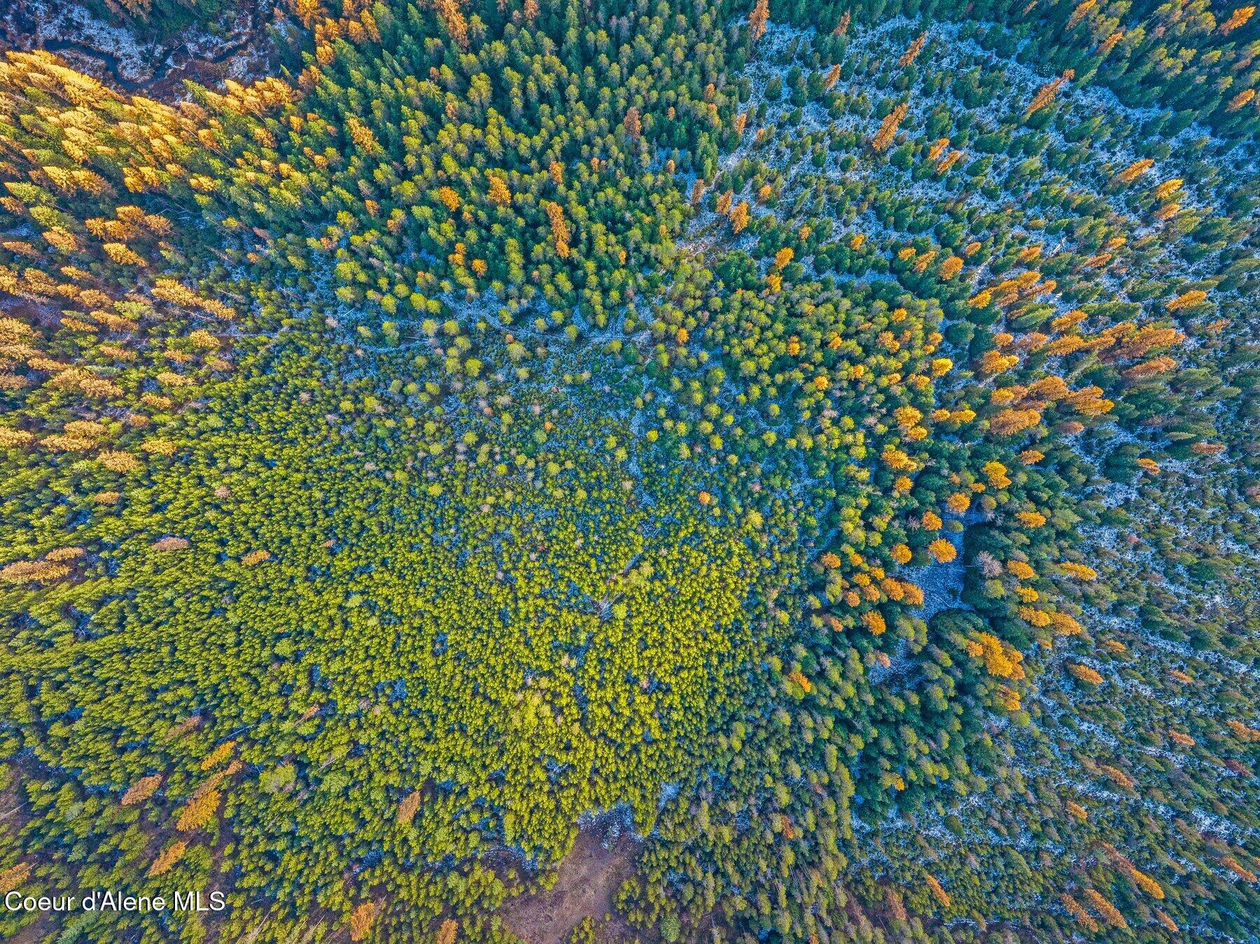 Lot 3 Reeder Bay Road Nordman, ID 83848 - Photo 16 of 21 Overview