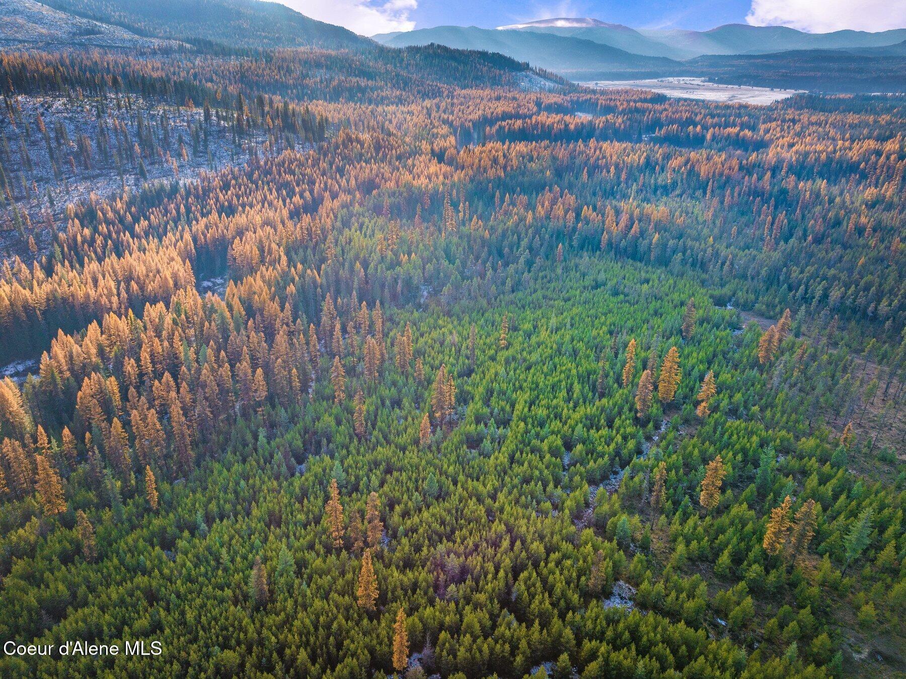 Lot 3 Reeder Bay Road Nordman, ID 83848 - Photo 4 of 21 Aerial