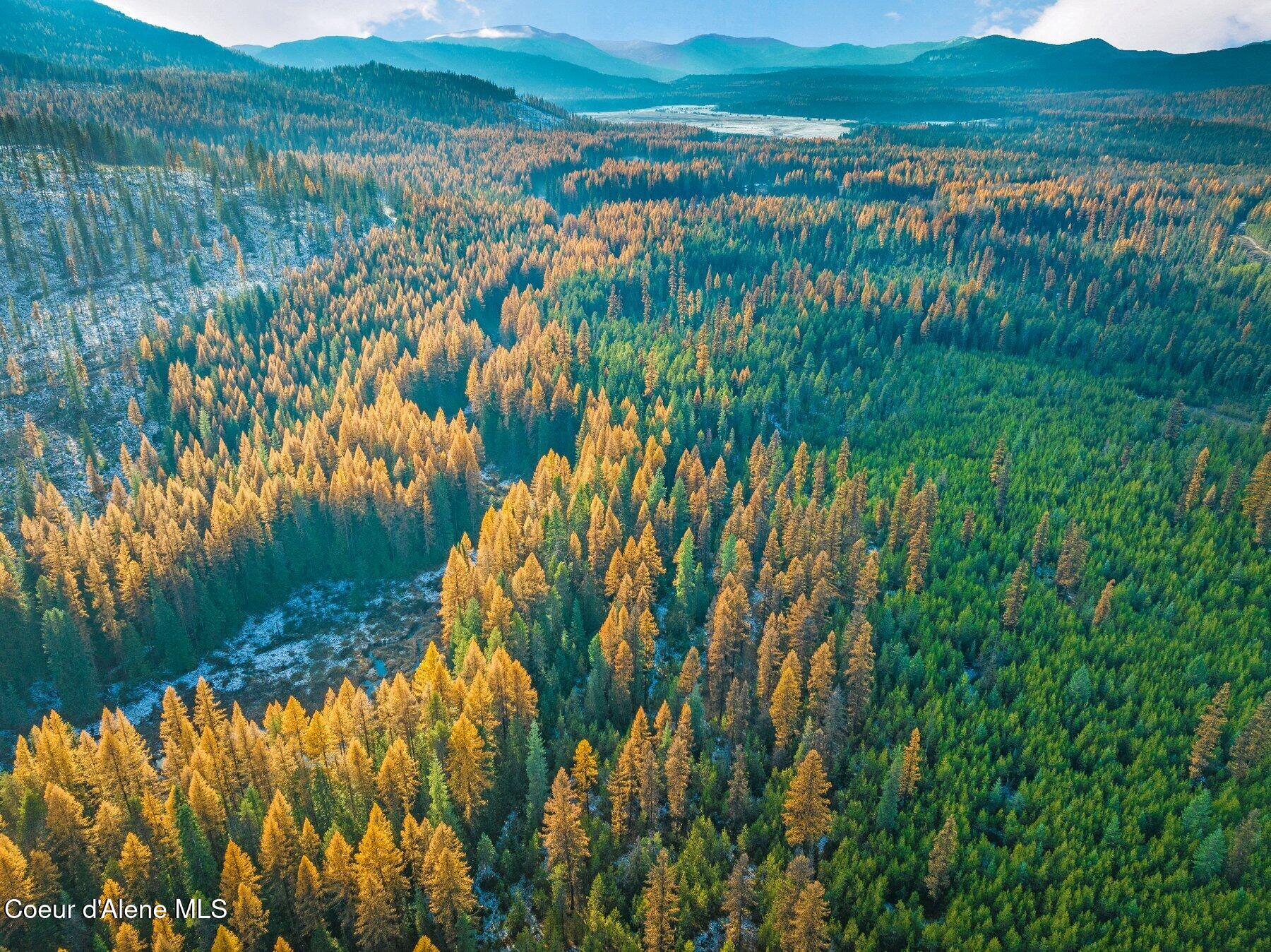 Lot 3 Reeder Bay Road Nordman, ID 83848 - Photo 6 of 21 Aerial