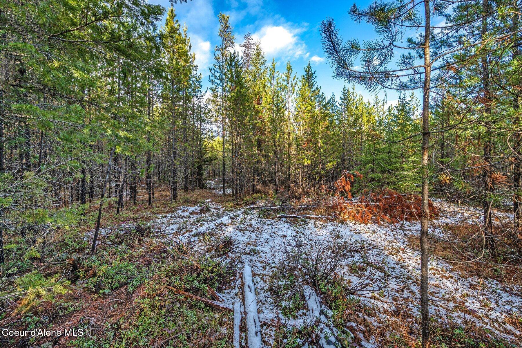 Lot 3 Reeder Bay Road Nordman, ID 83848 - Photo 7 of 21 Open Area