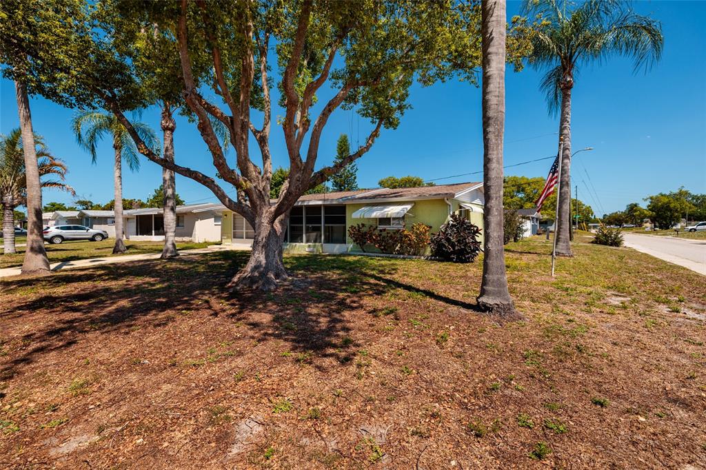 5209 Lofton Drive New Port Richey, FL 34652 - Photo 3 of 37