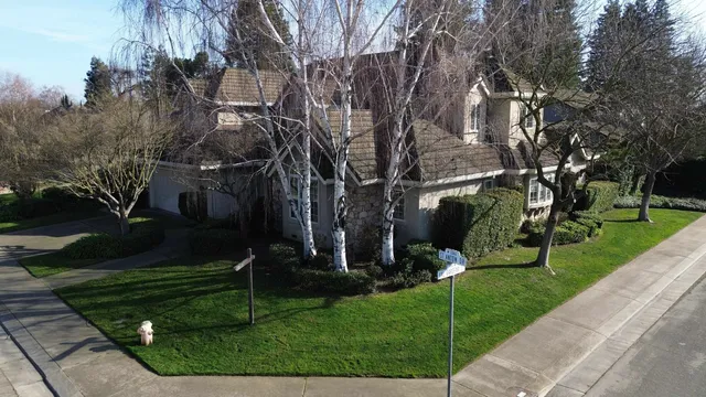 a view of a yard with potted plants