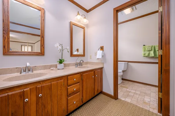 a view of a park with a large tree