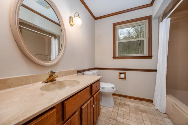 a view of a grassy field with trees