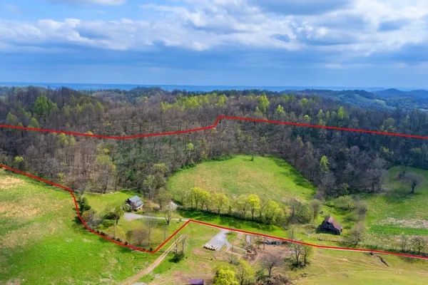 a view of a wooden deck