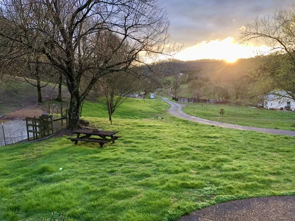 a view of an entryway with wooden floor and door