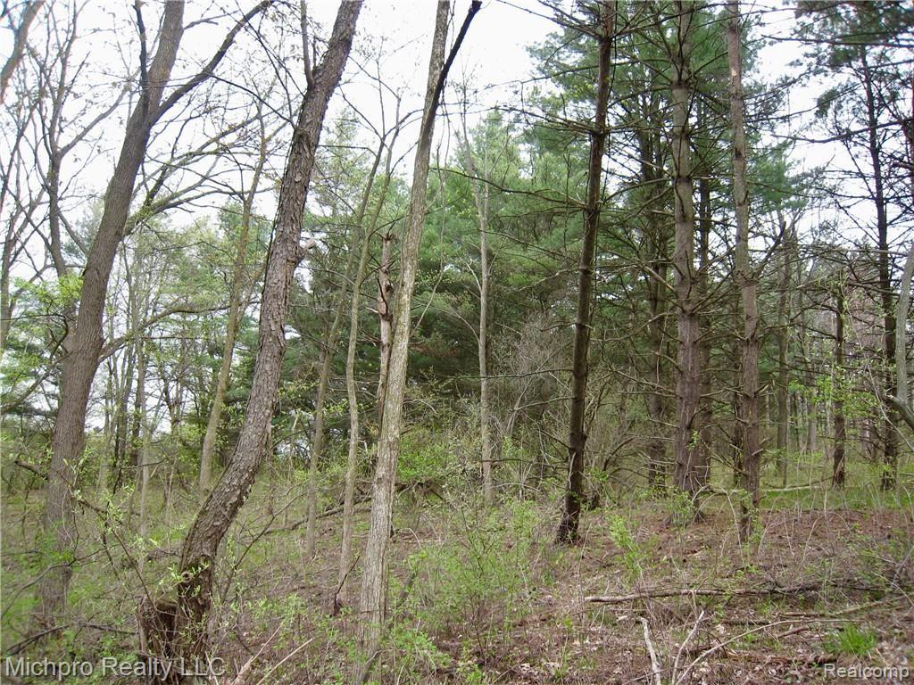 Parcel 2 South Lapeer Road Metamora, MI 48455 - Photo 13 of 17