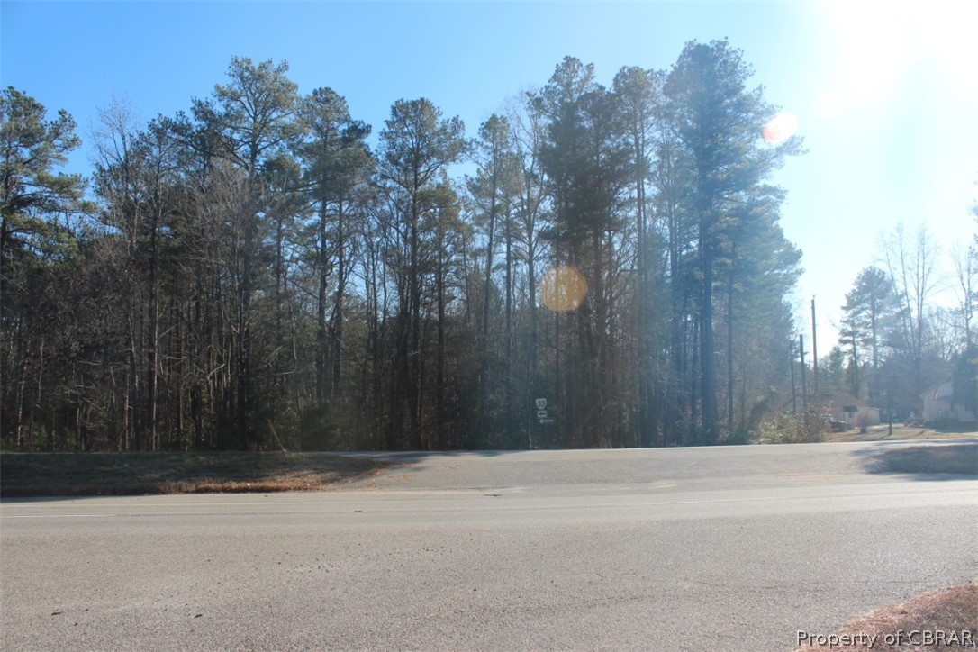 16.3-ac Pierce Road Saluda, VA 23149 - Photo 6 of 18