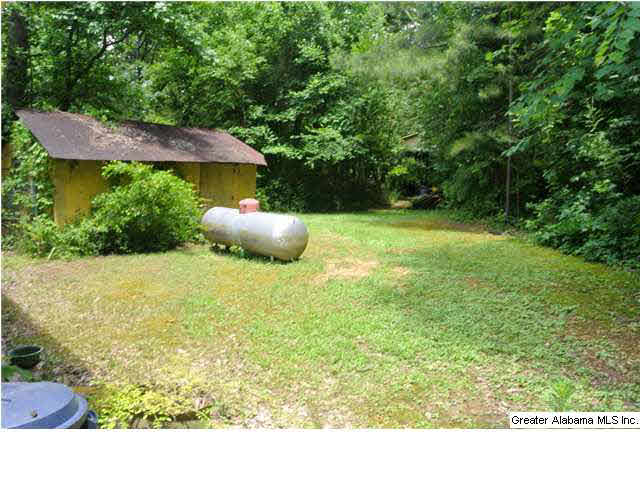 6597 Goodwin Road Pinson, AL 35126 - Photo 4 of 20 Gallery Image 4
