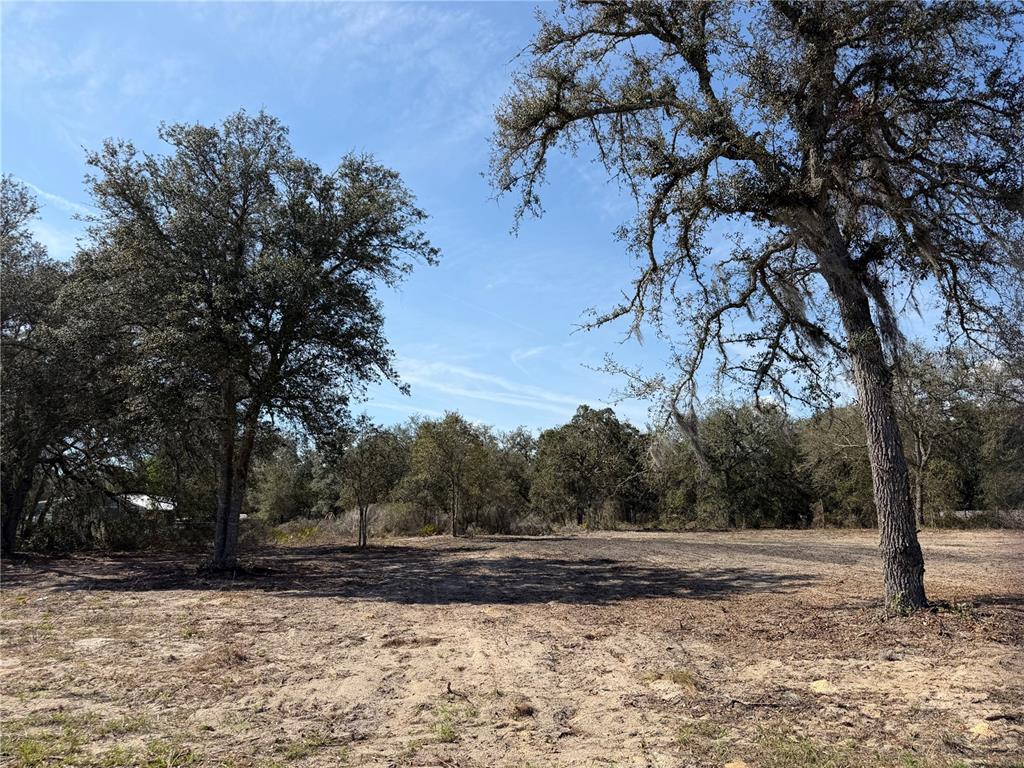 Tbd Northeast Tbd Ne 106th Terrace Bronson, FL 32621 - Photo 2 of 6