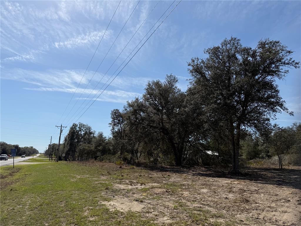 Tbd Northeast Tbd Ne 106th Terrace Bronson, FL 32621 - Photo 2 of 6 a backyard of a house with lots of green space