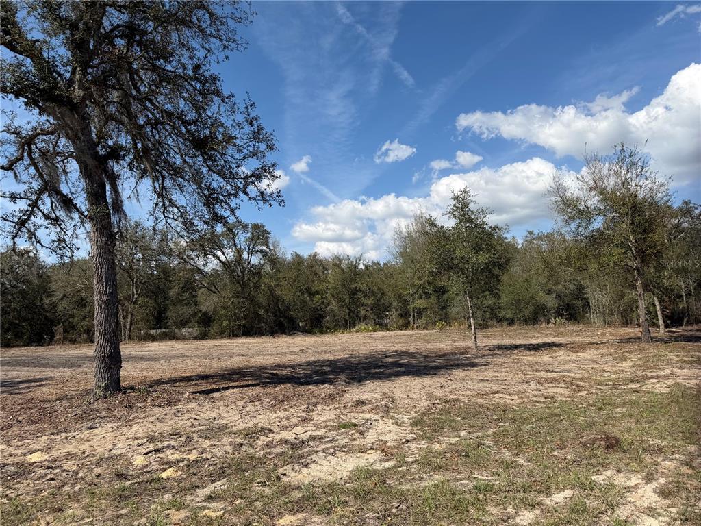 Tbd Northeast Tbd Ne 106th Terrace Bronson, FL 32621 - Photo 4 of 6