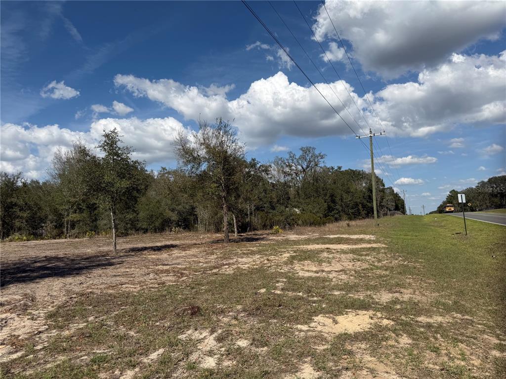 Tbd Northeast Tbd Ne 106th Terrace Bronson, FL 32621 - Photo 5 of 6