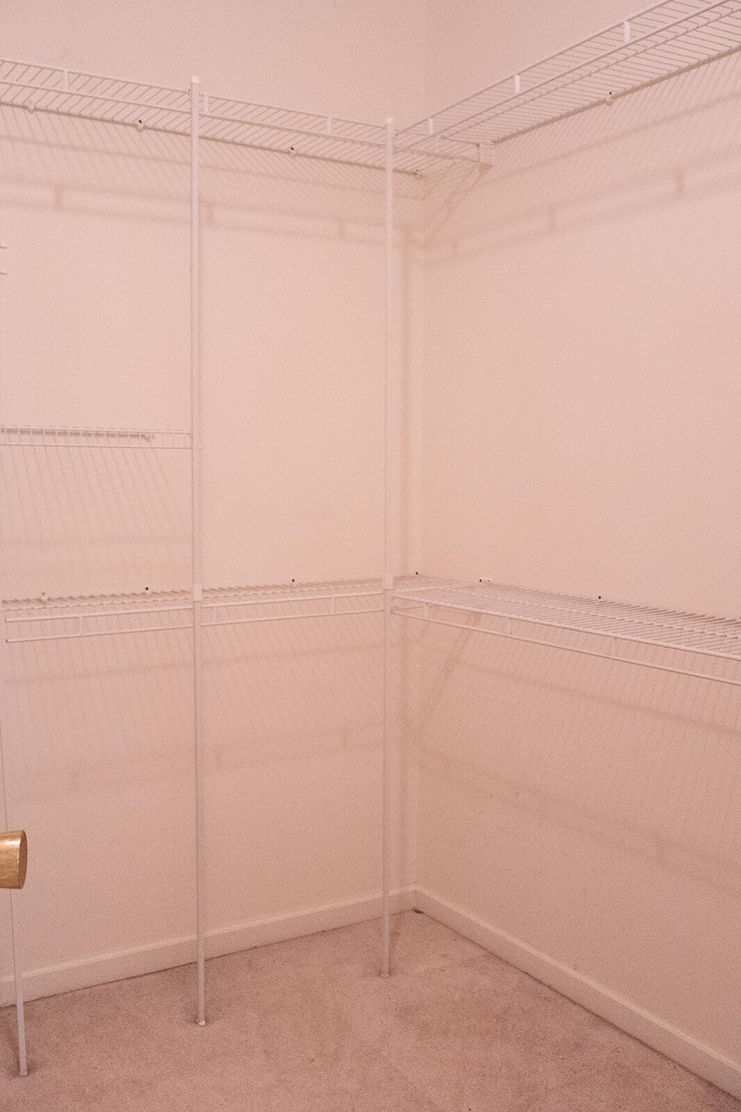 11760 Landon Road Baroda, MI 49101 - Photo 22 of 39 452A7550