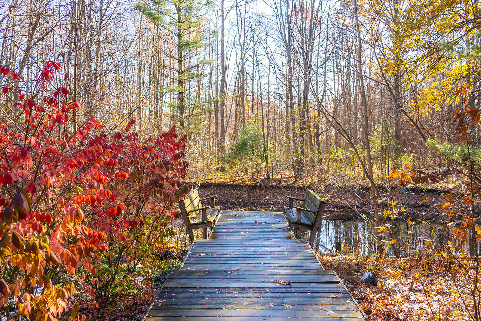 11760 Landon Road Baroda, MI 49101 - Photo 27 of 39 452A7636