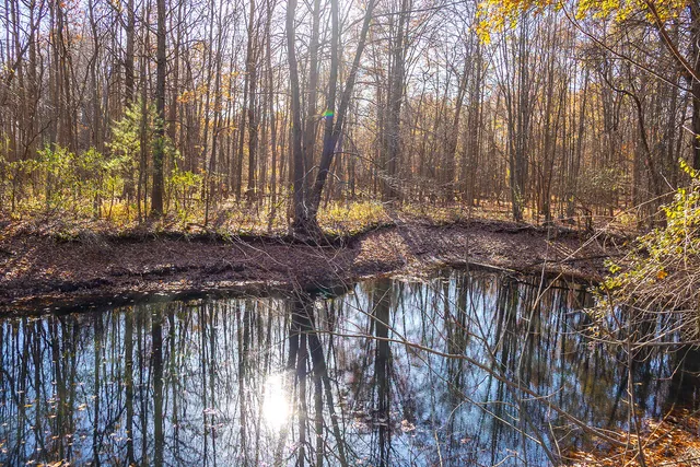 $549,800 | 11760 Landon Road, Baroda, MI 49101