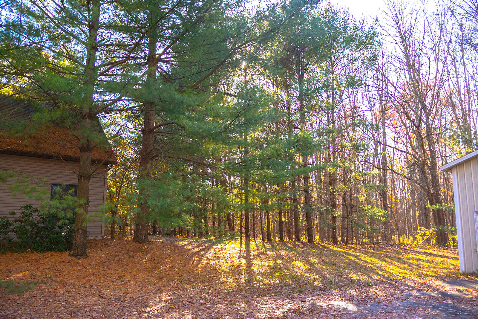 11760 Landon Road Baroda, MI 49101 - Photo 33 of 39 452A7660