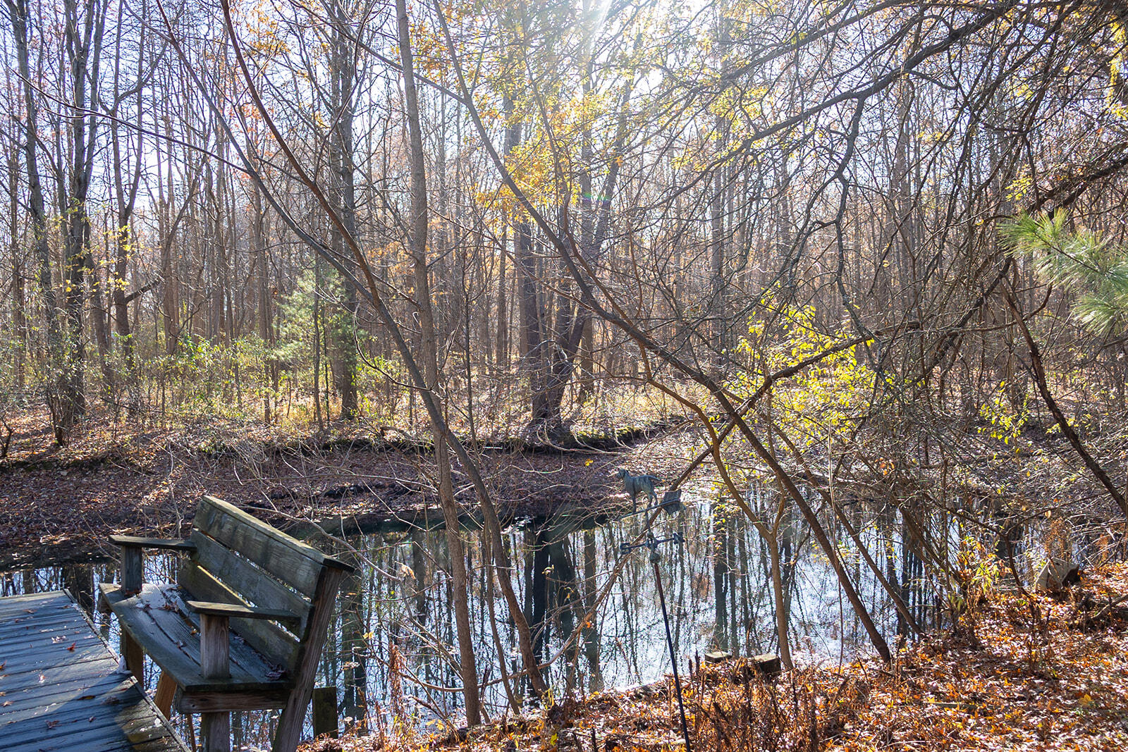11760 Landon Road Baroda, MI 49101 - Photo 6 of 39 452A7640