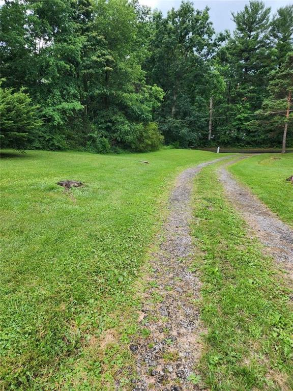 154 Bend Road New Wilmington, PA 16142 - Photo 12 of 22 a view of a grassy field with trees in the background