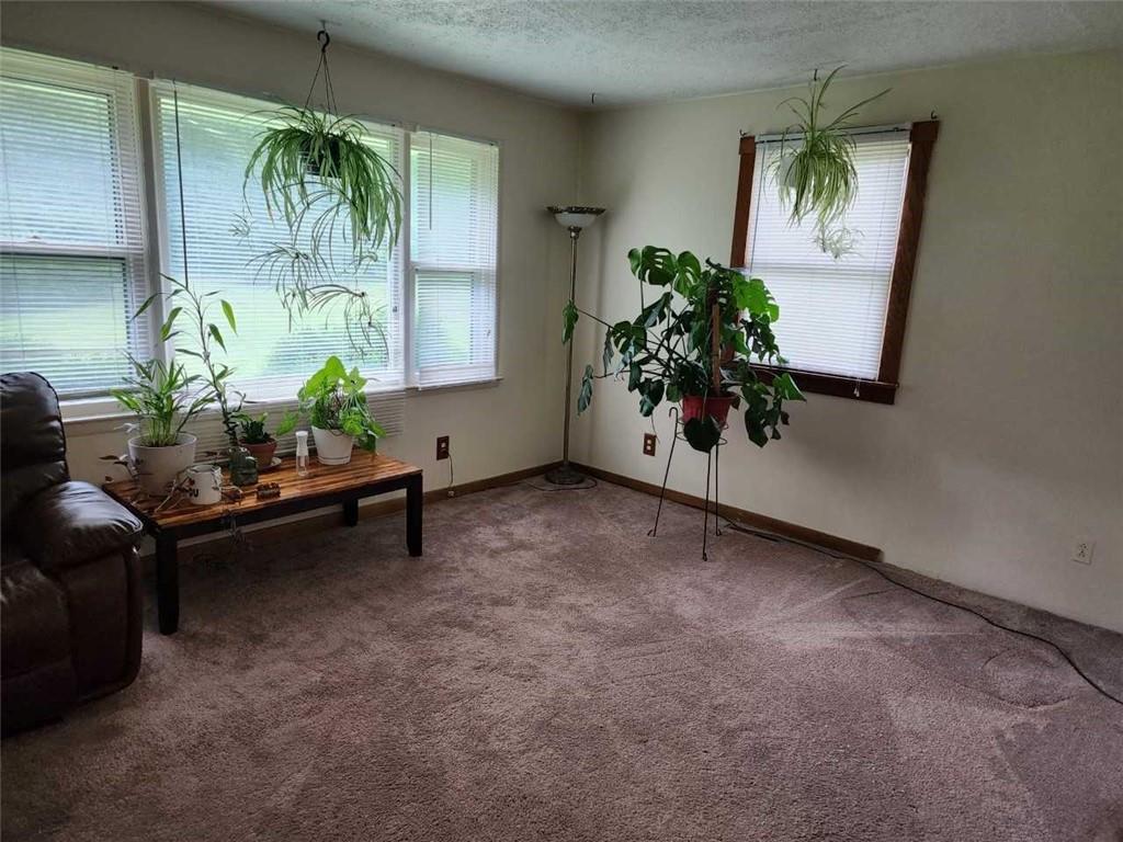 154 Bend Road New Wilmington, PA 16142 - Photo 6 of 22 a living room with furniture and a potted plant