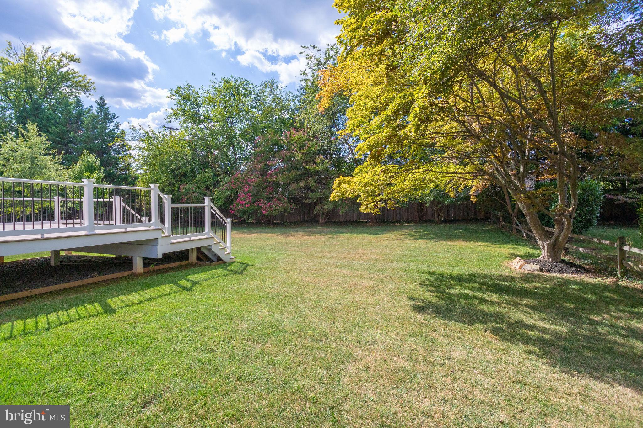 1302 Calder Road McLean, VA 22101 - Photo 86 of 90 Deck & Backyard view