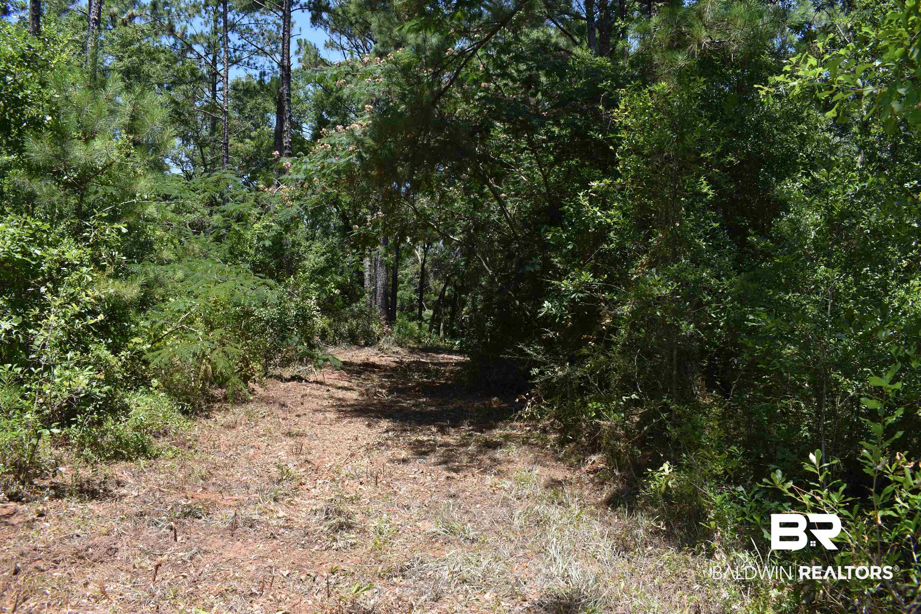 17655 River Road Summerdale, AL 36580 - Photo 6 of 17