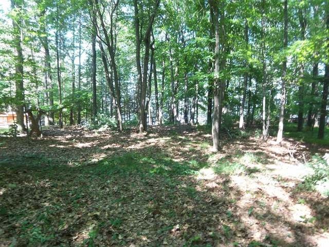 Three Braeger Road Three Lakes, WI 54562 - Photo 4 of 14 Gallery Image 4