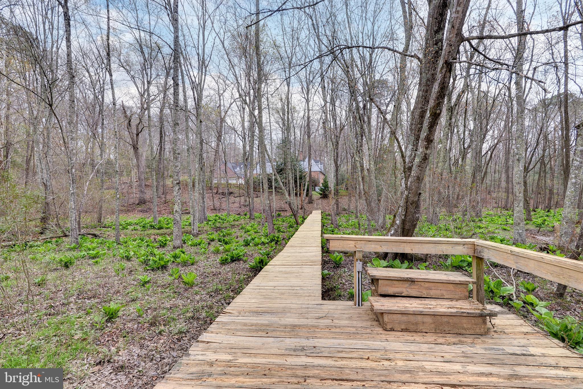 132 Little John Road Williamsburg, VA 23185 - Photo 33 of 50