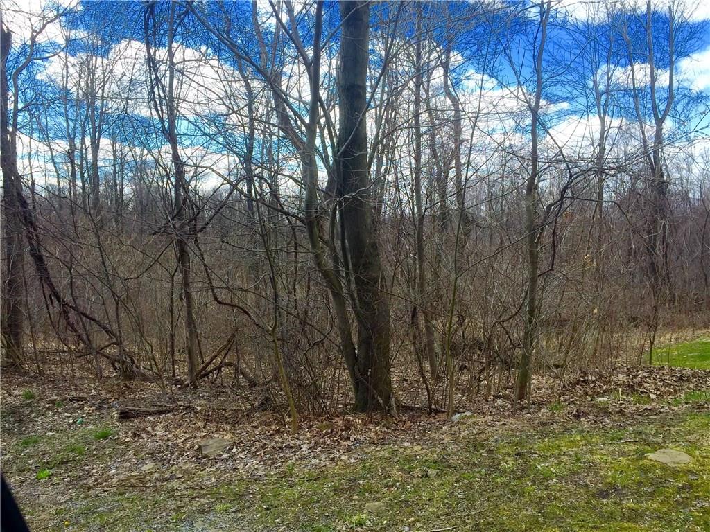 0 Simons Rock Rd Pine Penn Run, PA 15765 - Photo 2 of 6 Gallery Image 2
