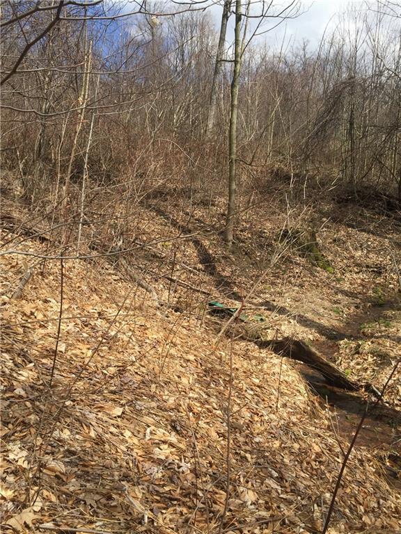 0 Simons Rock Rd Pine Penn Run, PA 15765 - Photo 3 of 6 Gallery Image 3