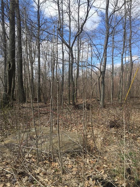 0 Simons Rock Rd Pine Penn Run, PA 15765 - Photo 4 of 6 Gallery Image 4