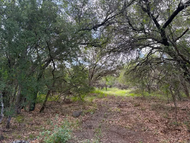 a view of outdoor space and trees