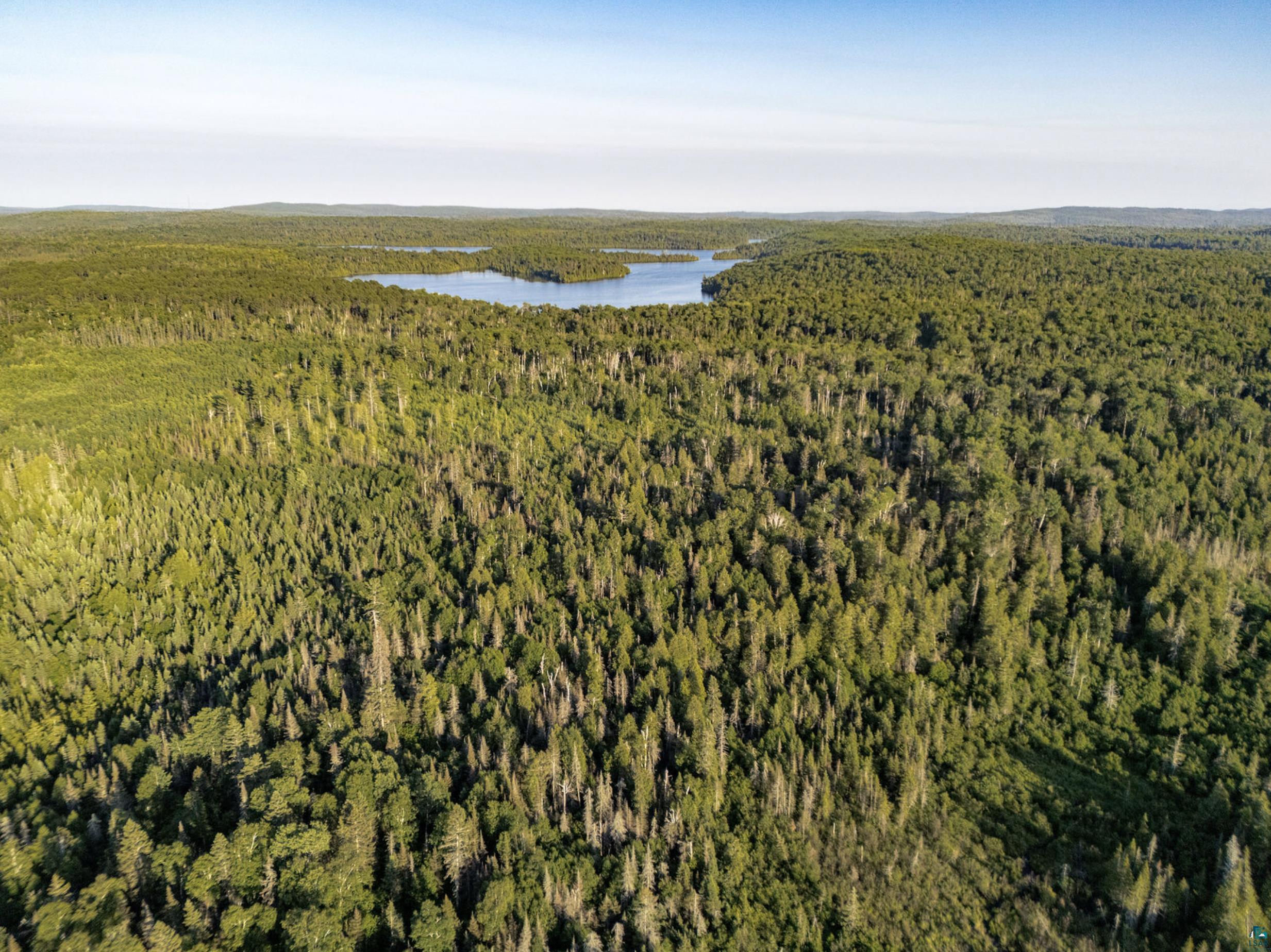 Tbd Hoist Lake Road Finland, MN 55603 - Photo 12 of 22