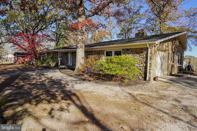 front view of house with yard natural light
