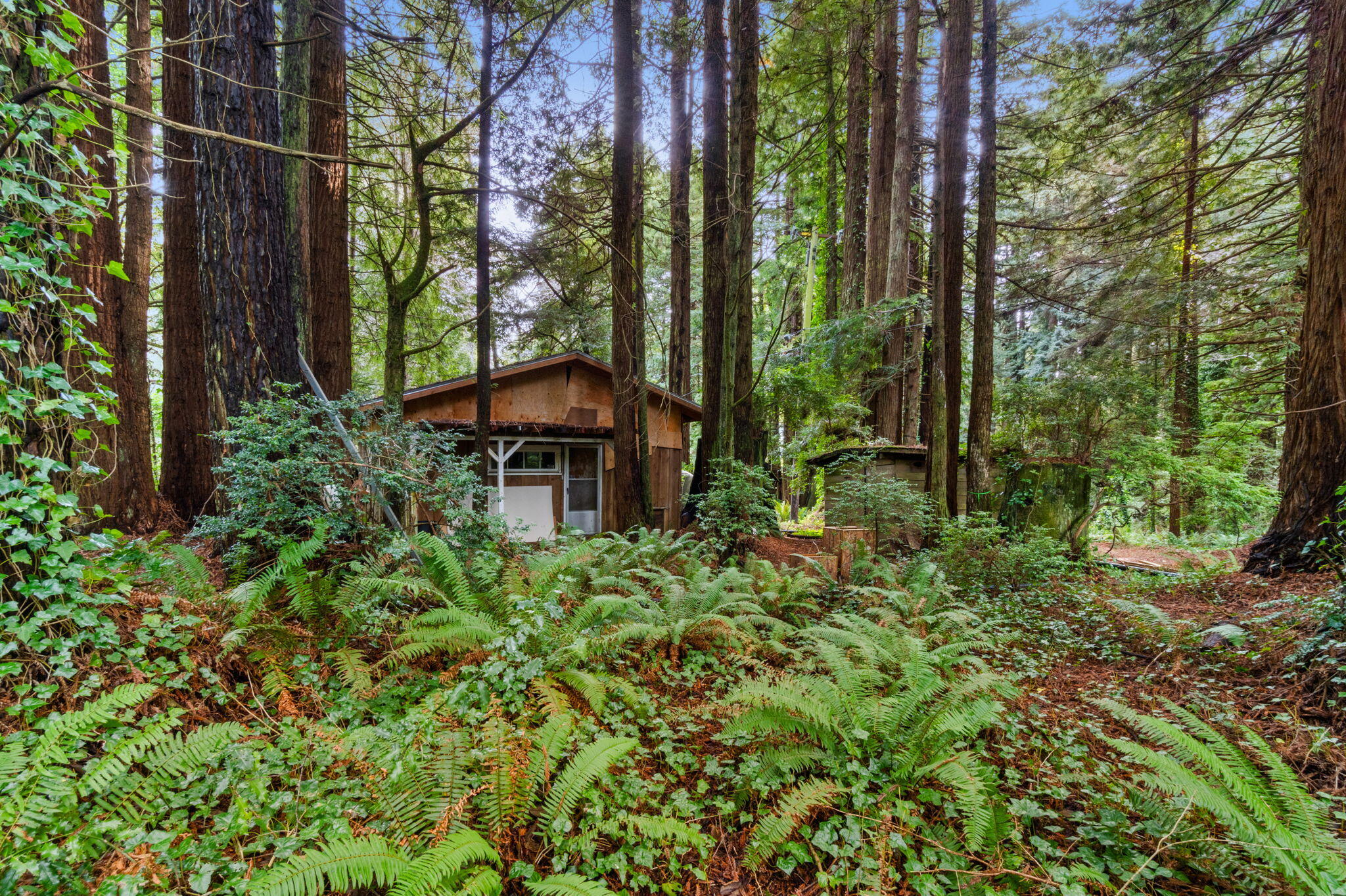 207 Lanford Road Trinidad, CA 95570 - Photo 6 of 16 6-web-or-mls-DSC08221_1