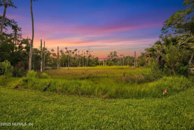a view of a grassy field with trees