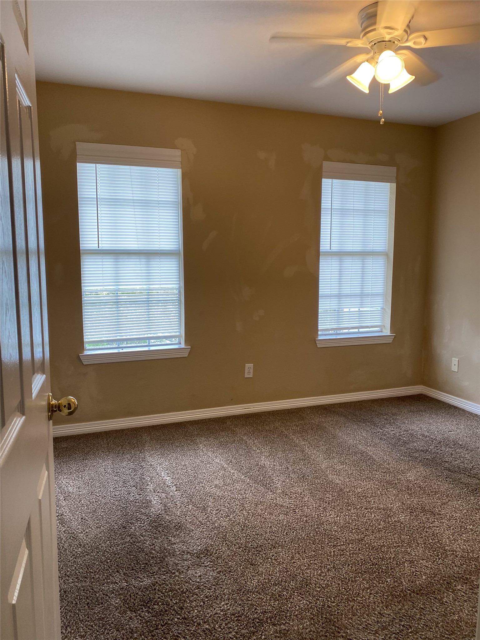619 Ellen Court Temple, TX 76501 - Photo 1 of 1 Empty room featuring carpet floors, plenty of natural light, and ceiling fan