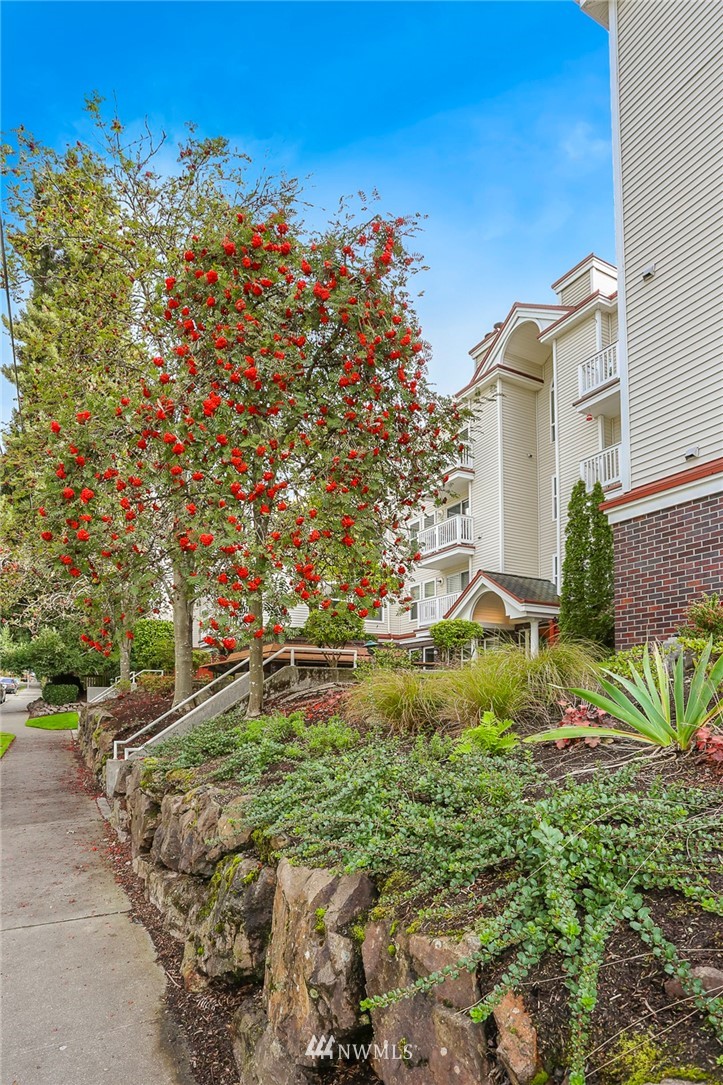 411 North 90th Street, Unit 101 Seattle, WA 98103 - Photo 12 of 16