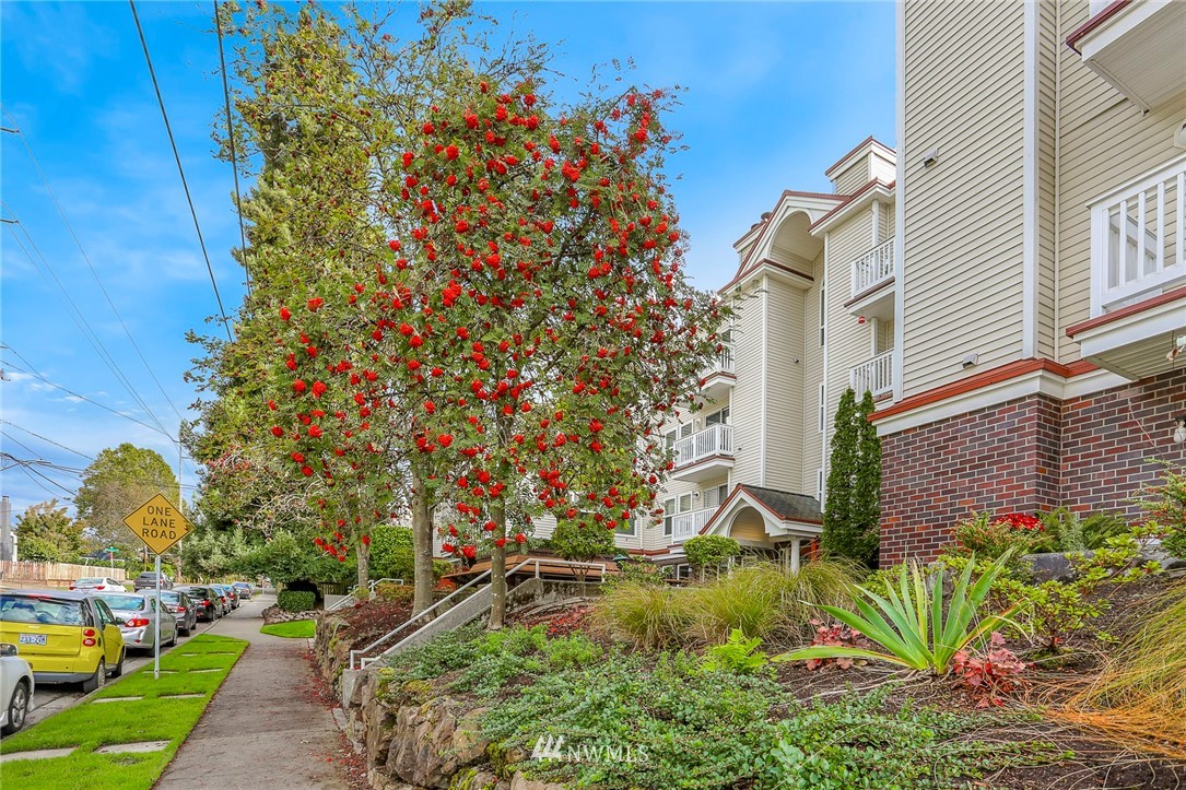411 North 90th Street, Unit 101 Seattle, WA 98103 - Photo 13 of 16