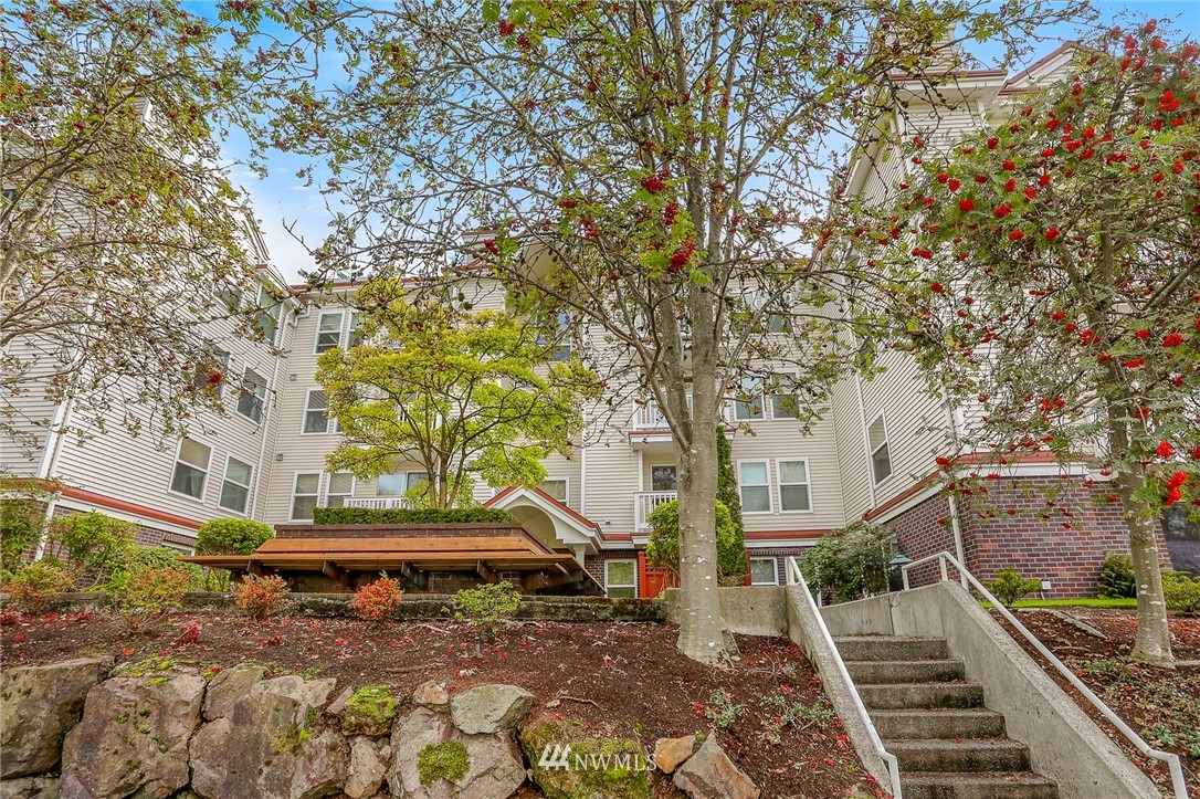 411 North 90th Street, Unit 101 Seattle, WA 98103 - Photo 15 of 16