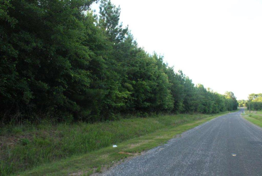 5 Seivern Road Wagener, SC 29164 - Photo 1 of 3 Main View