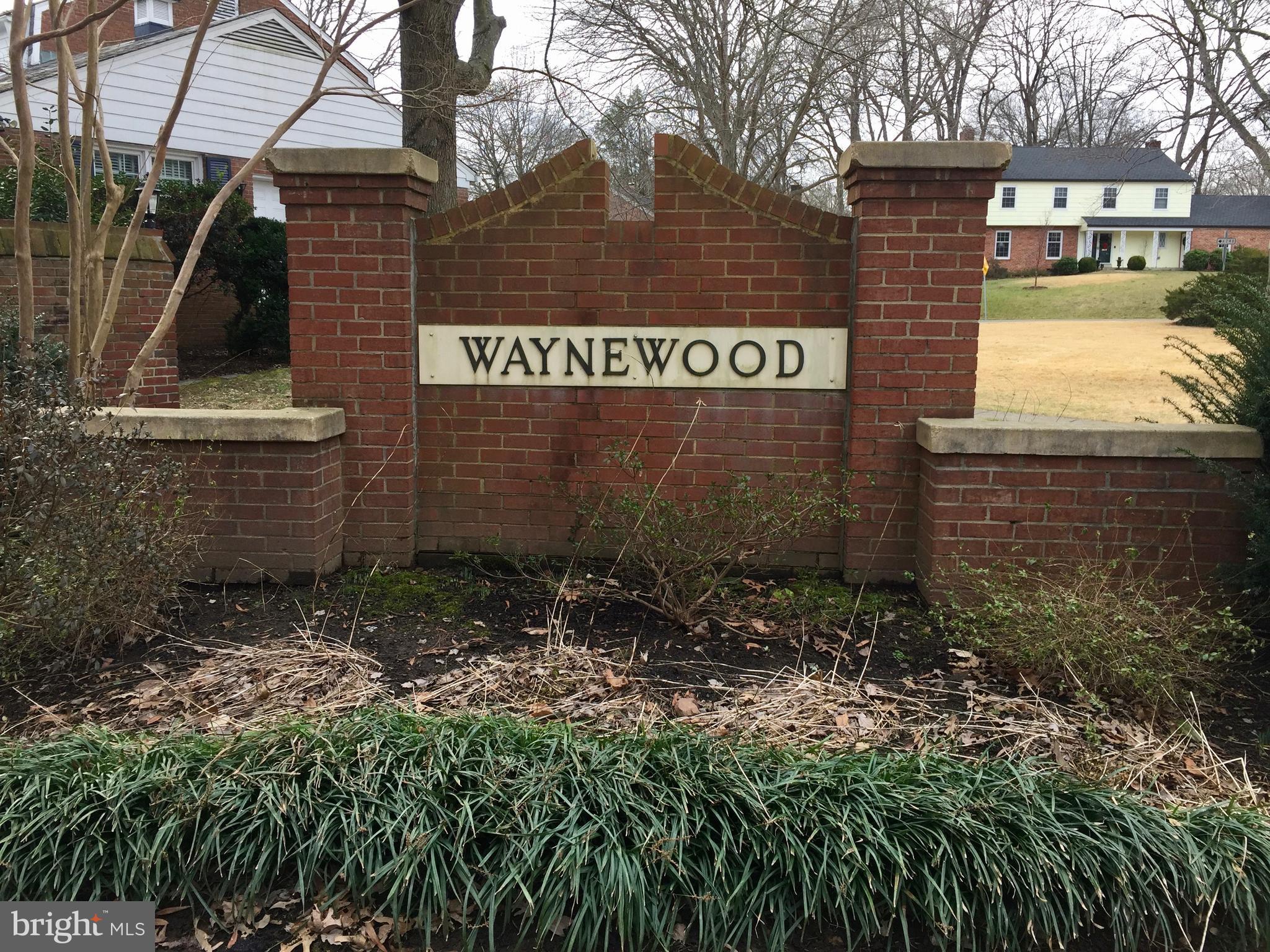 Wonderful Waynewood!