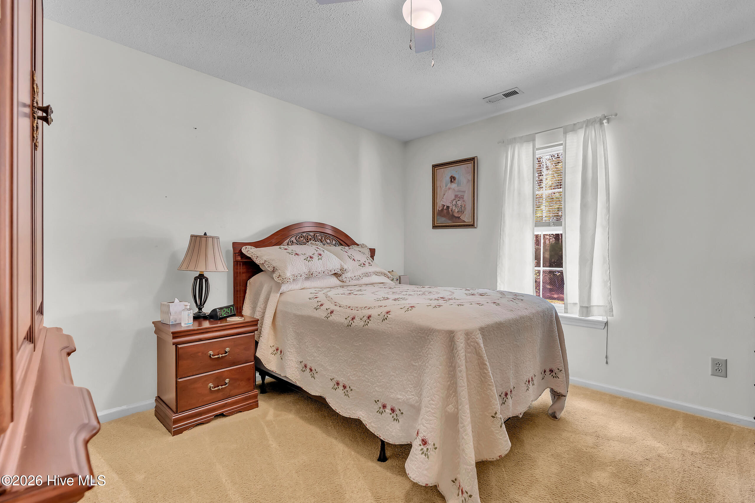 201 Blueberry Court Hubert, NC 28539 - Photo 24 of 39 DSC00692