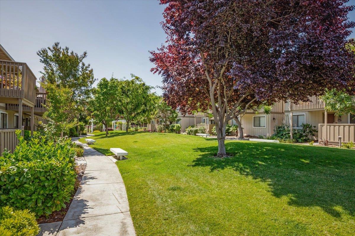 18952 Sara Park Circle Saratoga, CA 95070 - Photo 16 of 21 a view of a house with a yard