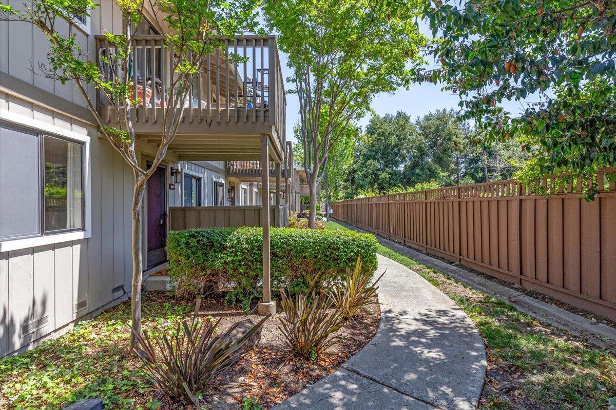 18952 Sara Park Circle Saratoga, CA 95070 - Photo 18 of 21 a view of a house with a small yard plants and large tree