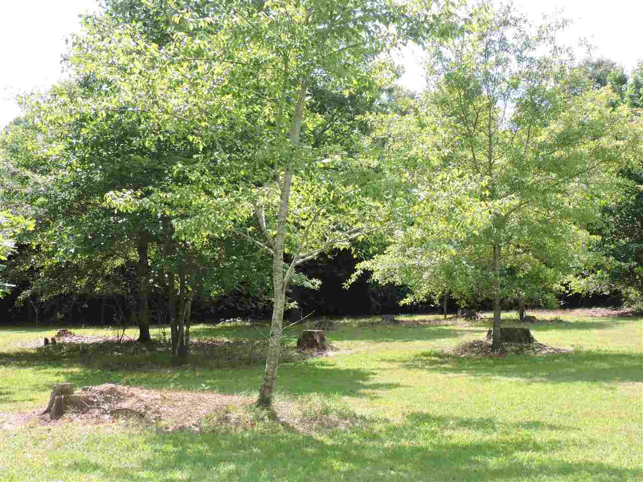 500 Hickory Ridge Road Florence, MS 39073 - Photo 45 of 48 Photo 45