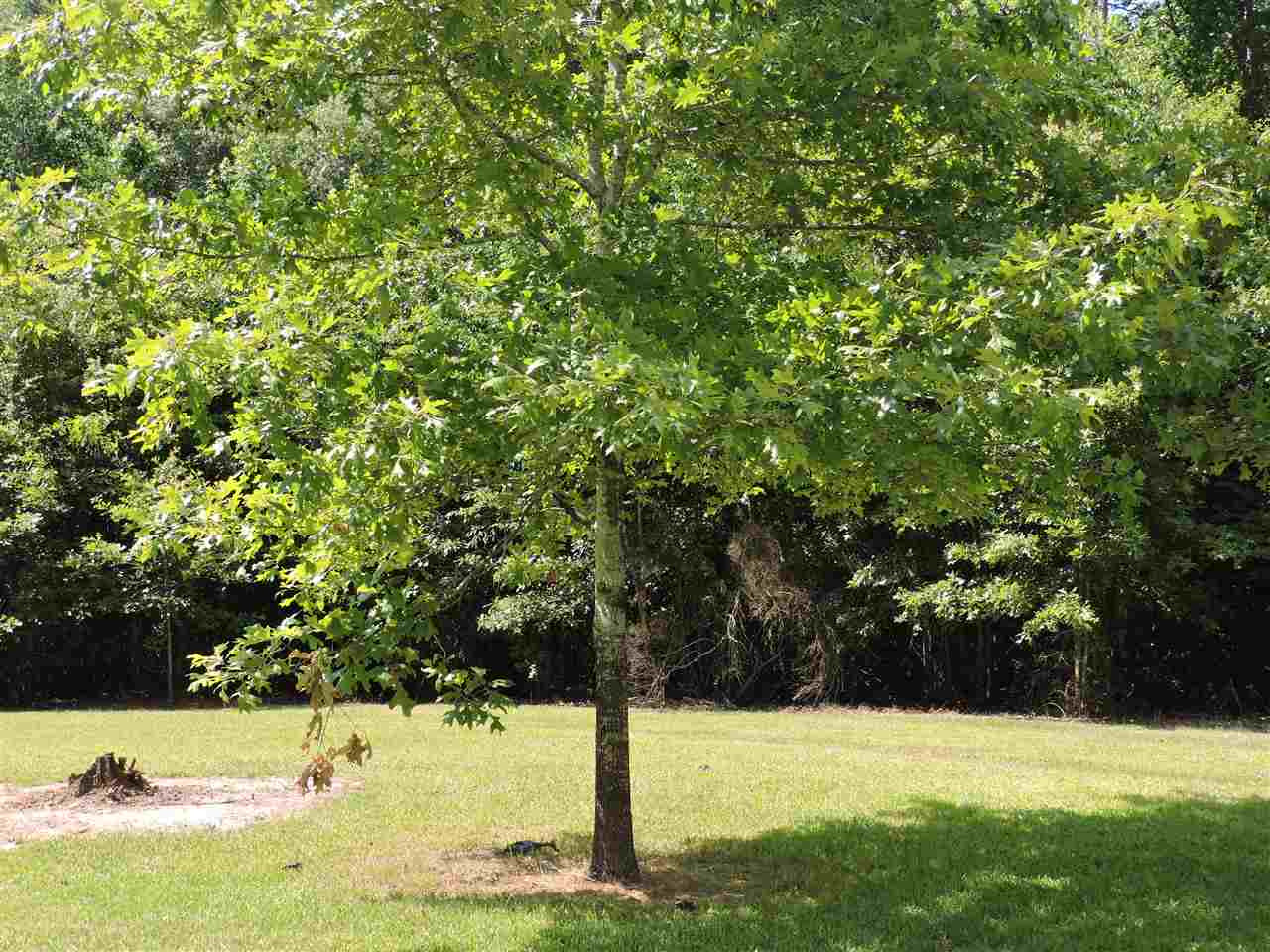 500 Hickory Ridge Road Florence, MS 39073 - Photo 46 of 48 Photo 46